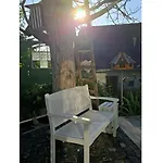 Gruene Haus *